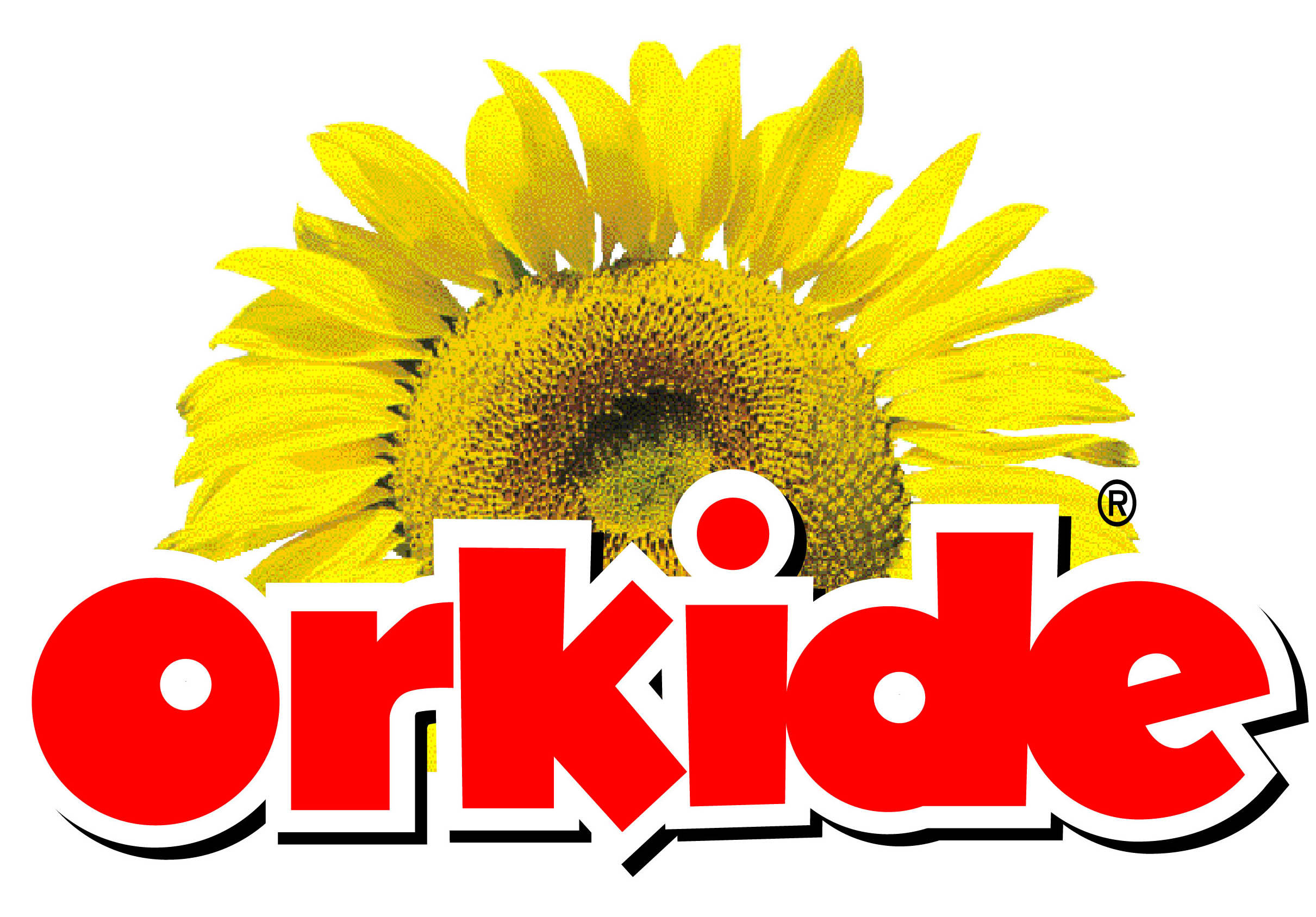 Orkide